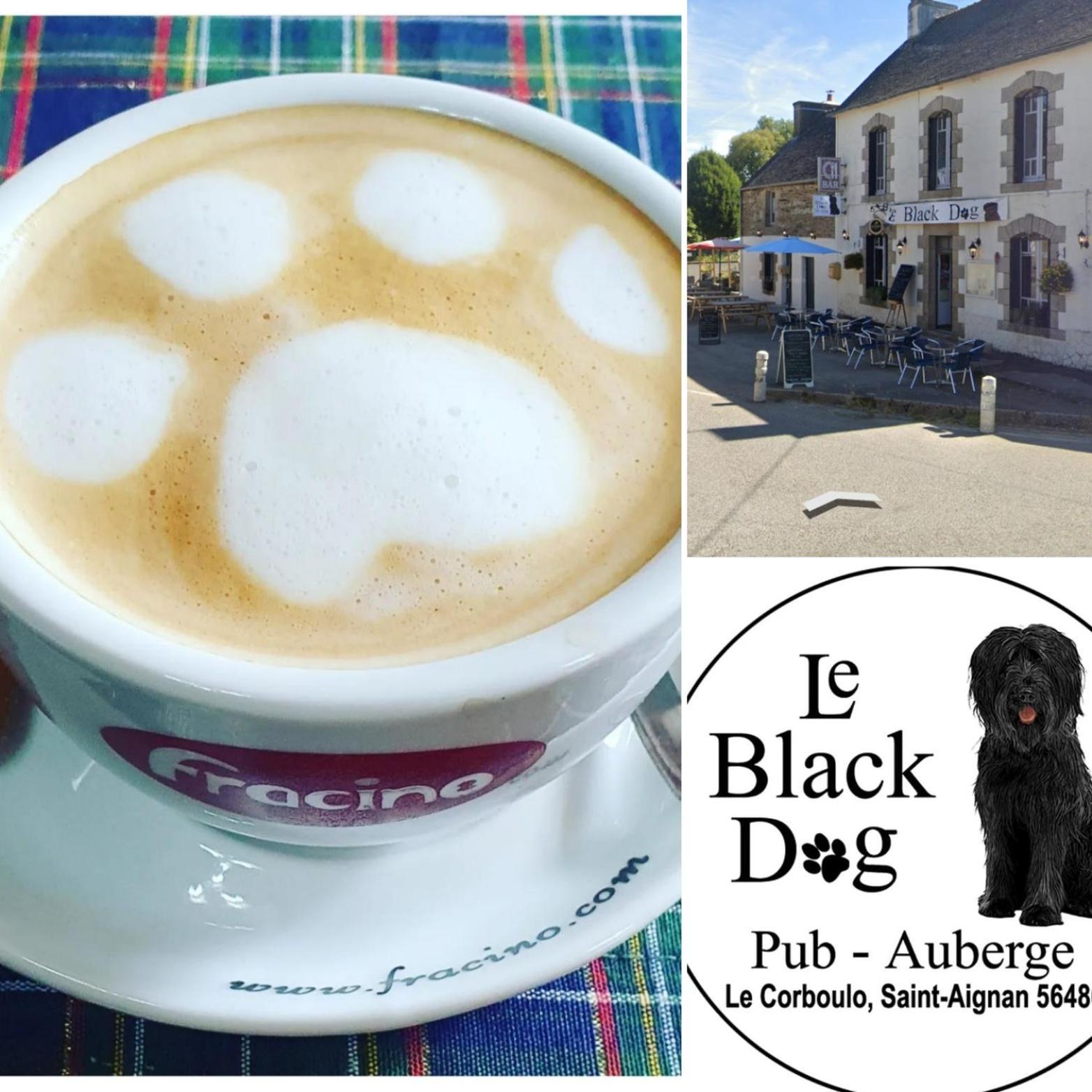 Le Black Dog Pub Saint-Aignan  المظهر الخارجي الصورة